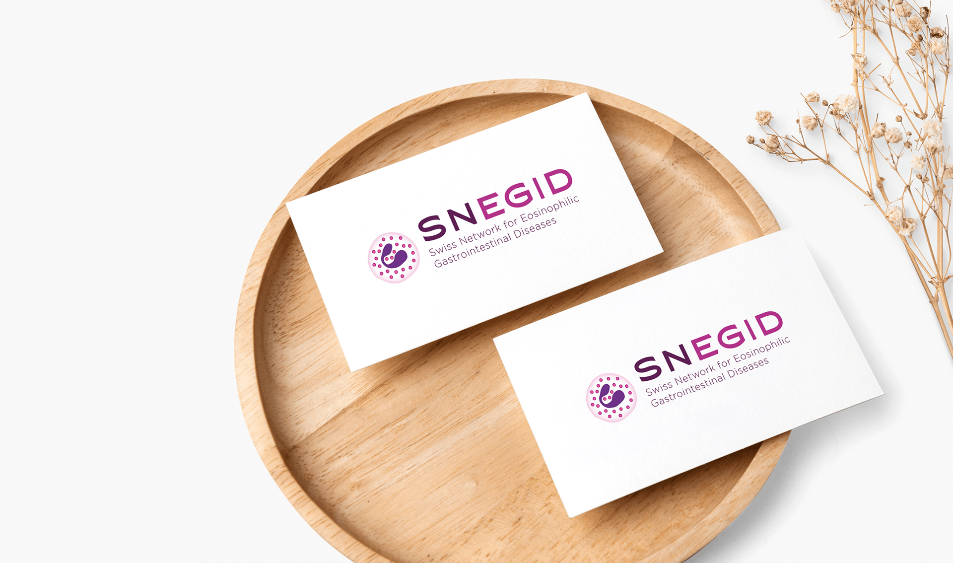 snegid-mockup-02
