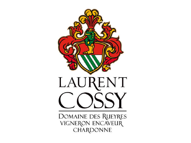 SolutionDigitale-Client-Laurent-Cossy
