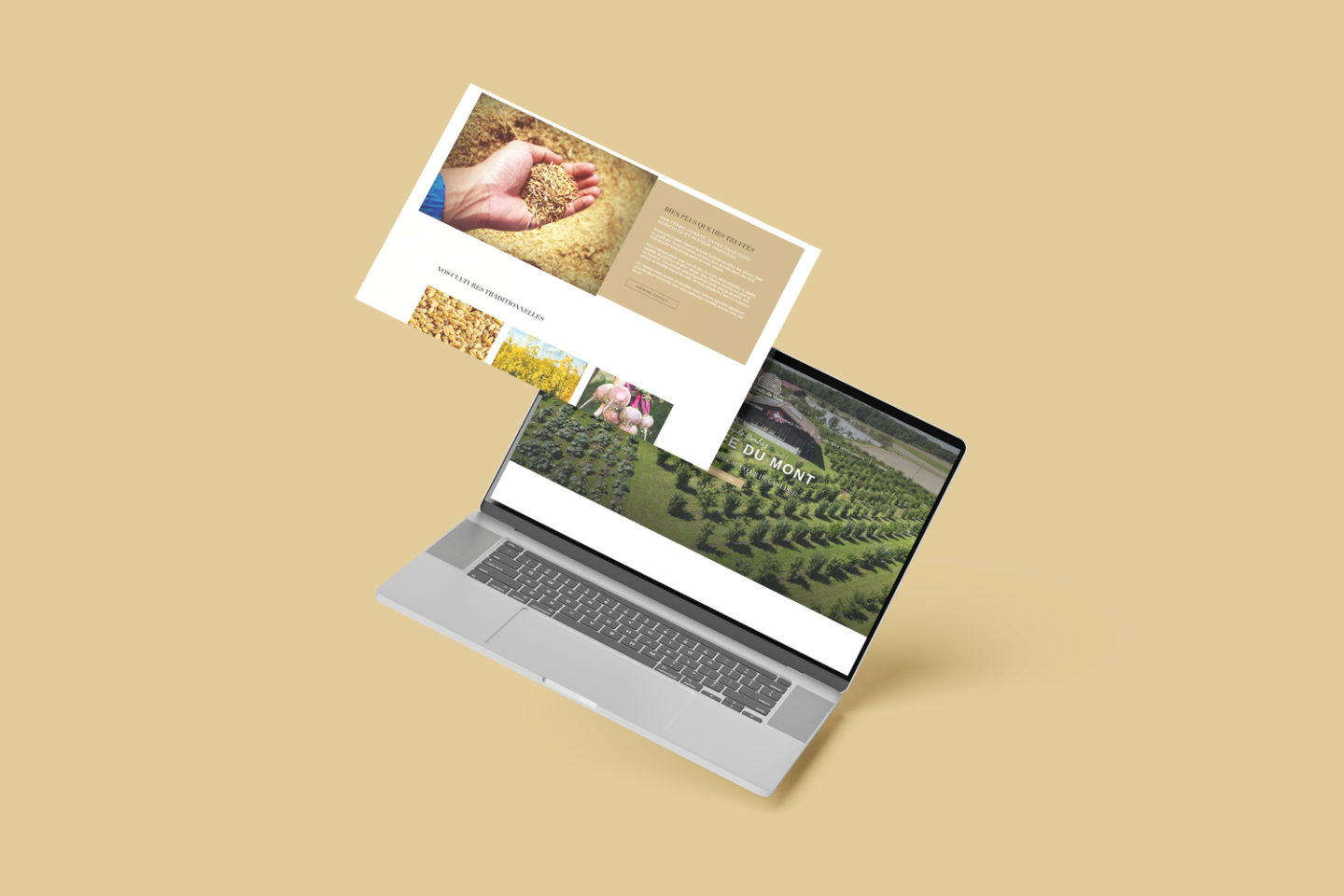 Les Truffe du Mont – Réalisation par Solution Digitale SA