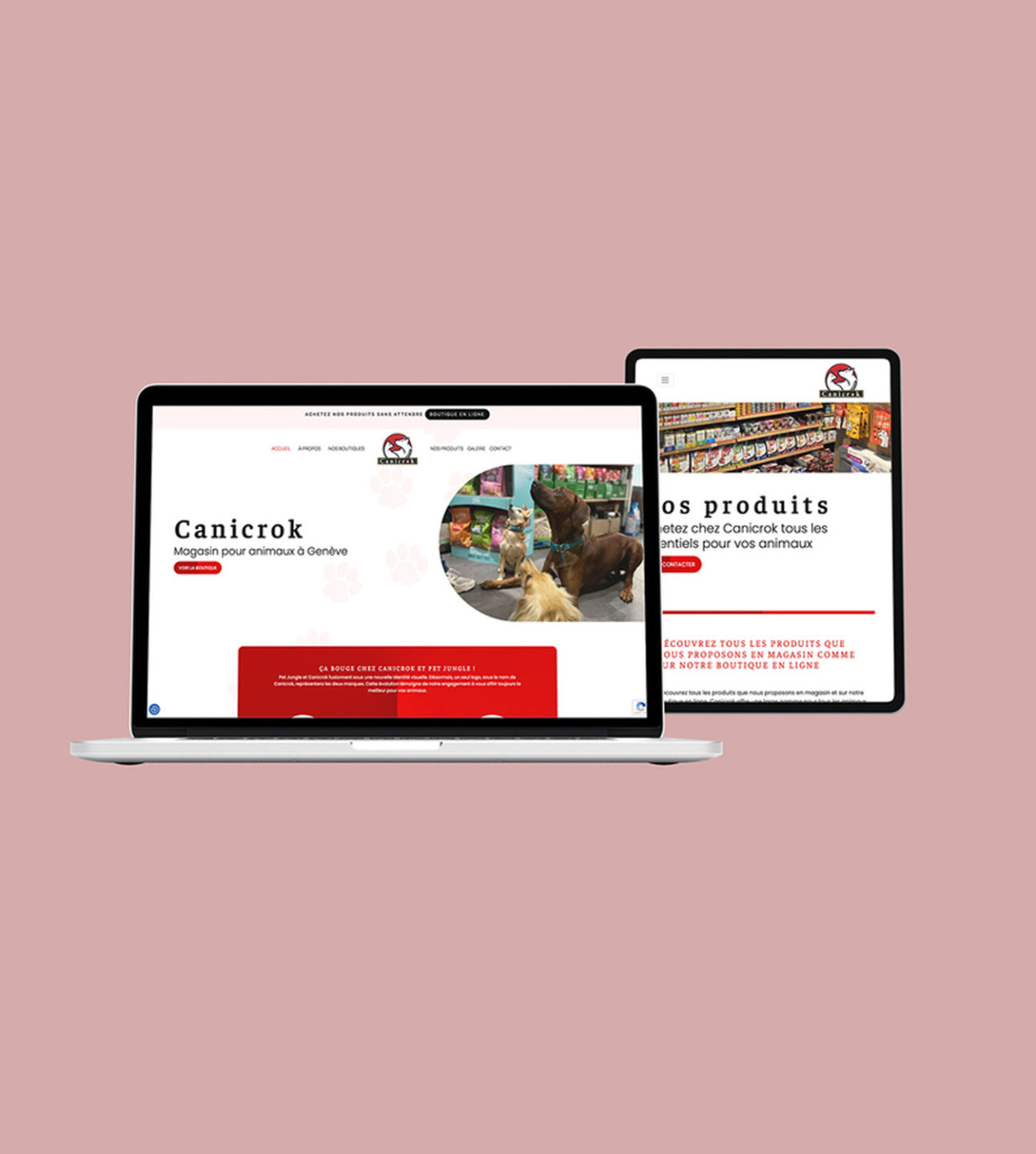Canicrok – Réalisation par Solution Digitale SA